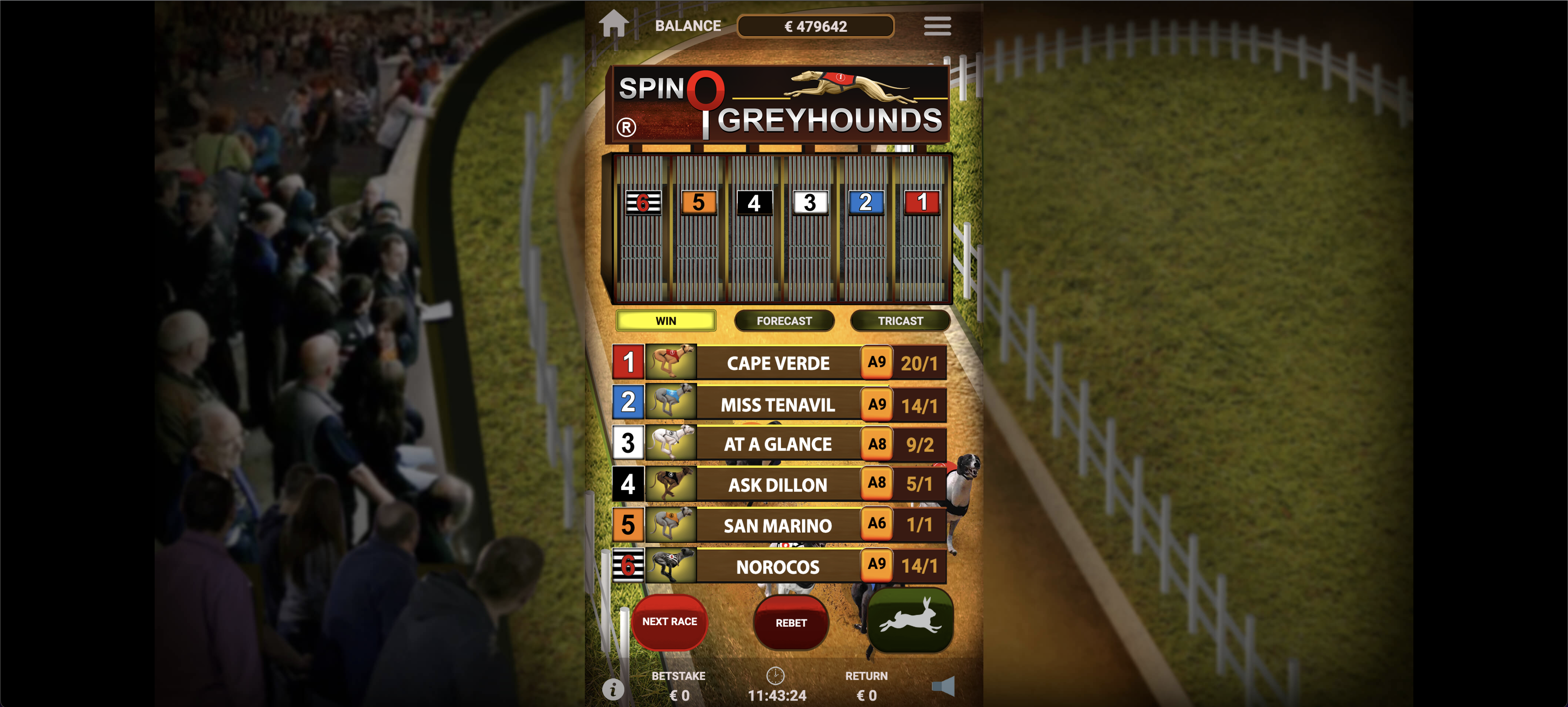 In-game Image