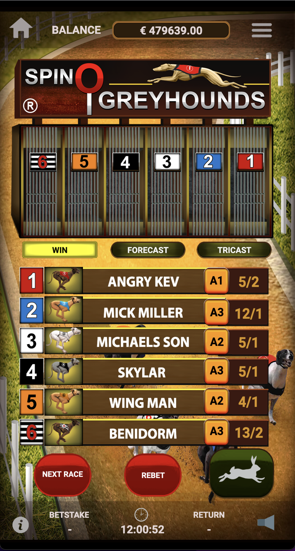In-game Image