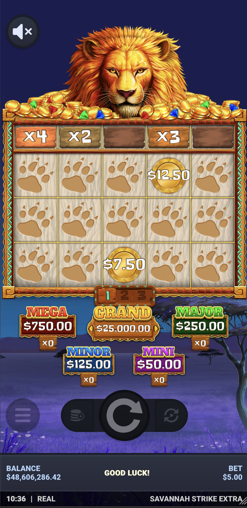 In-game Image