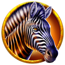 In-game Image