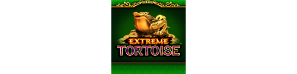 Extreme Tortoise - Certificates
