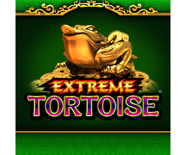 Extreme Tortoise