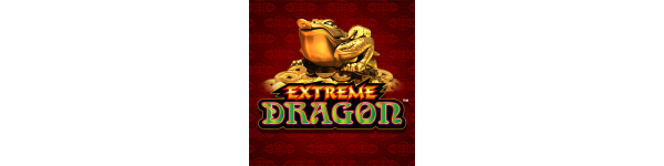 Extreme Dragon - Certificates